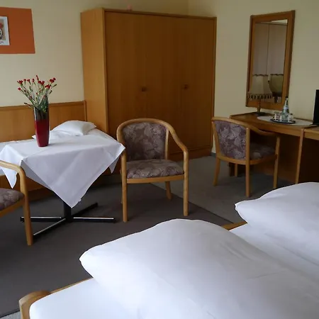 Hotel Zum Schwan Hugelsheim