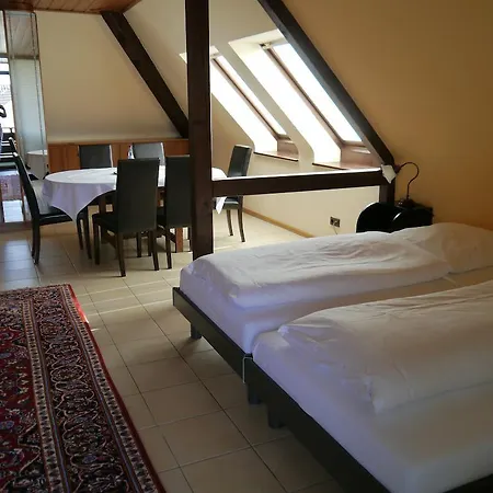 Zum Schwan Hotel 3*