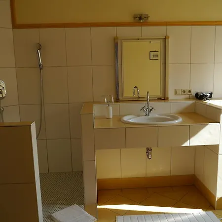 Zum Schwan Hotel Hugelsheim
