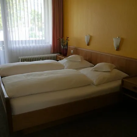 Hotel Zum Schwan 3*