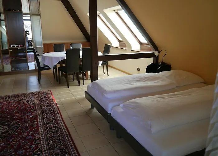 Zum Schwan 호텔 3*